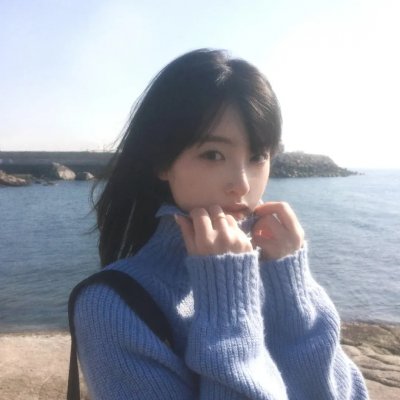 鬣狗之城
